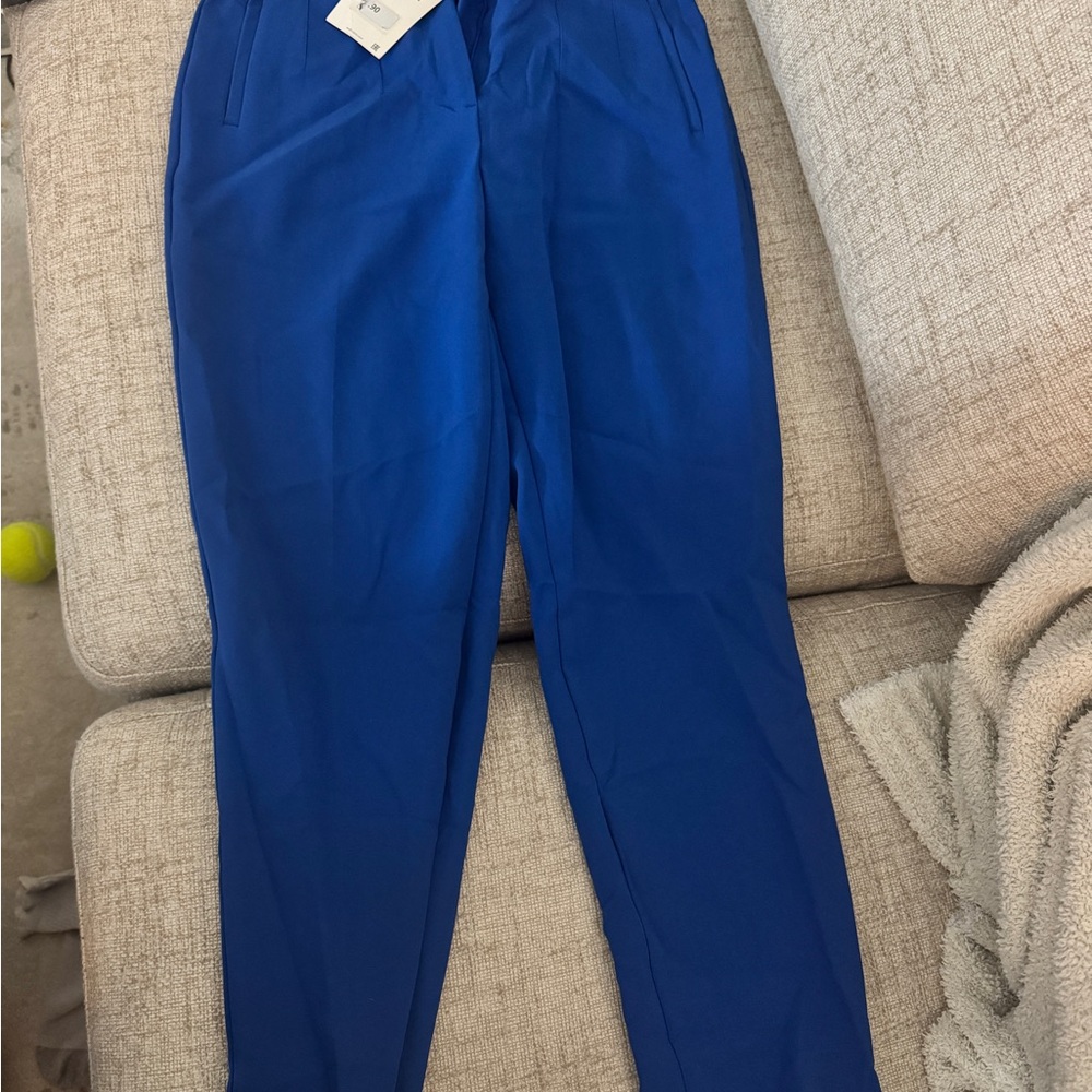 Zara Blue Ankle Pants